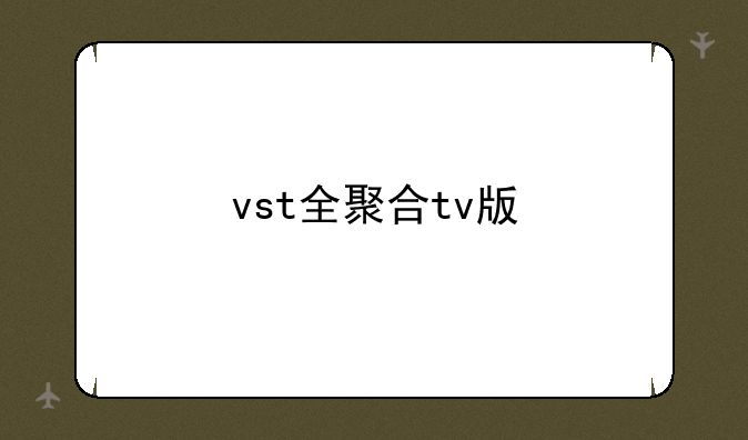 vst全聚合tv版