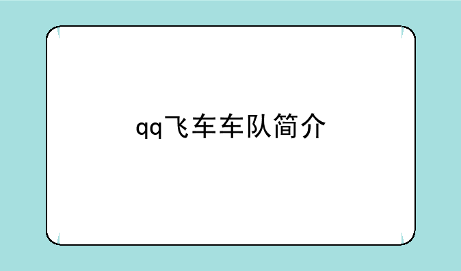 qq飞车车队简介