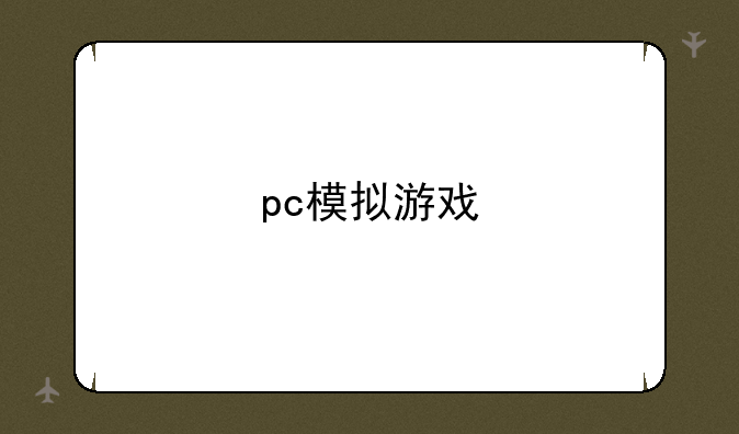 pc模拟游戏