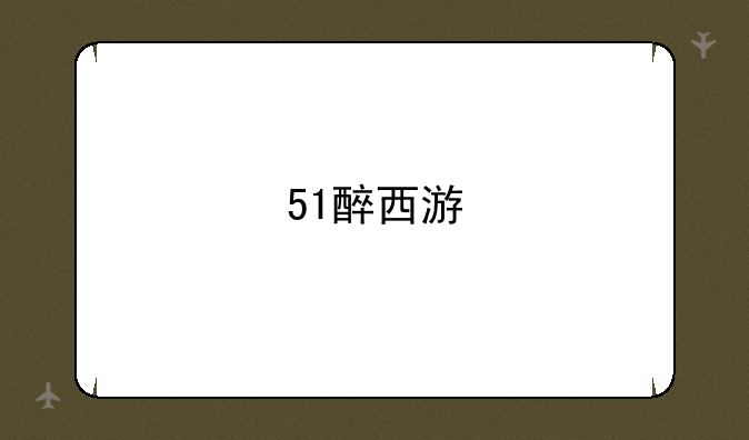 51醉西游
