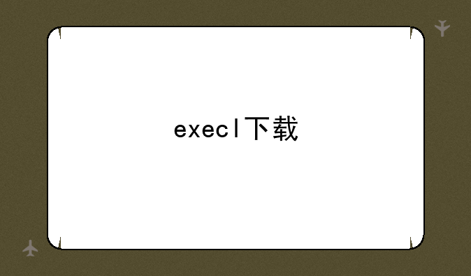 execl下载