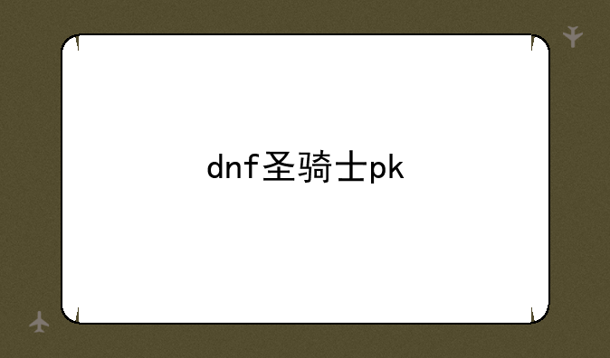 dnf圣骑士pk