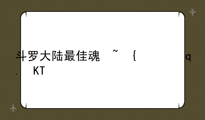 斗罗大陆最佳魂环配置—斗罗大陆魂环配置排行