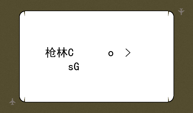 枪林弹雨游戏、枪林弹雨游戏停服公告