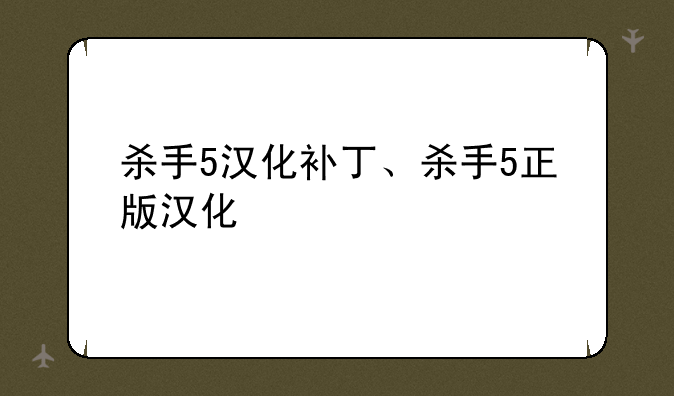 杀手5汉化补丁、杀手5正版汉化
