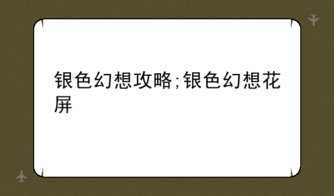 银色幻想攻略;银色幻想花屏