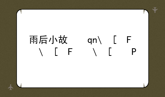 雨后小故事下载:雨后小故事下载mp3