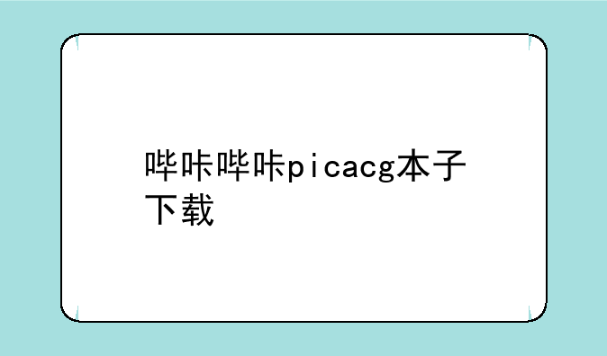 哔咔哔咔picacg本子下载