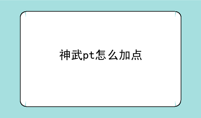 神武pt怎么加点