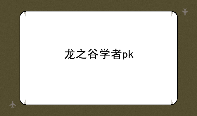 龙之谷学者pk