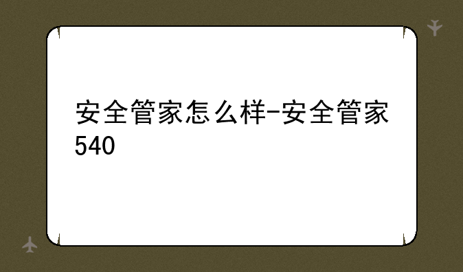 安全管家怎么样-安全管家540