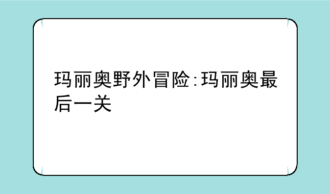 玛丽奥野外冒险:玛丽奥最后一关